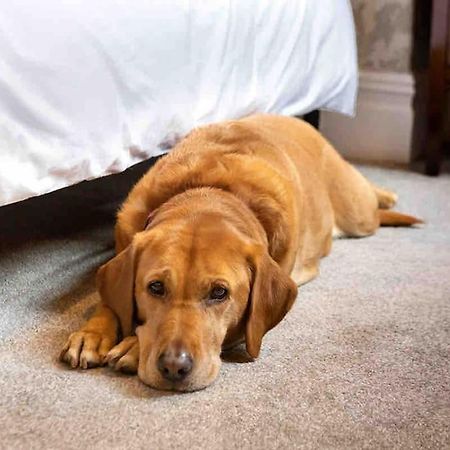 The Stanley Suite 1 Bedroom Apt Dog Friendly Patio Harrogate Exterior foto